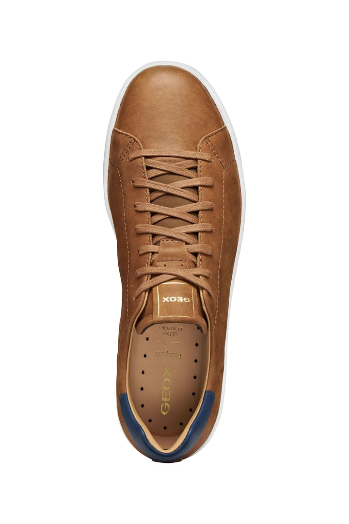Sneakers en cuir respirant avec tige marron, détail contrastant au talon et semelle adhérente, vue de dessus